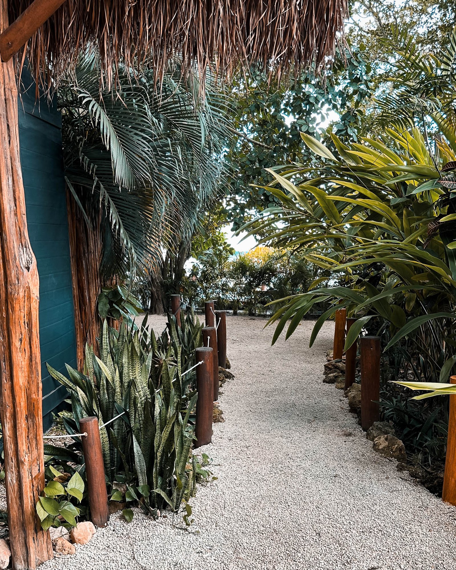 Gartenbereich eines Restaurants