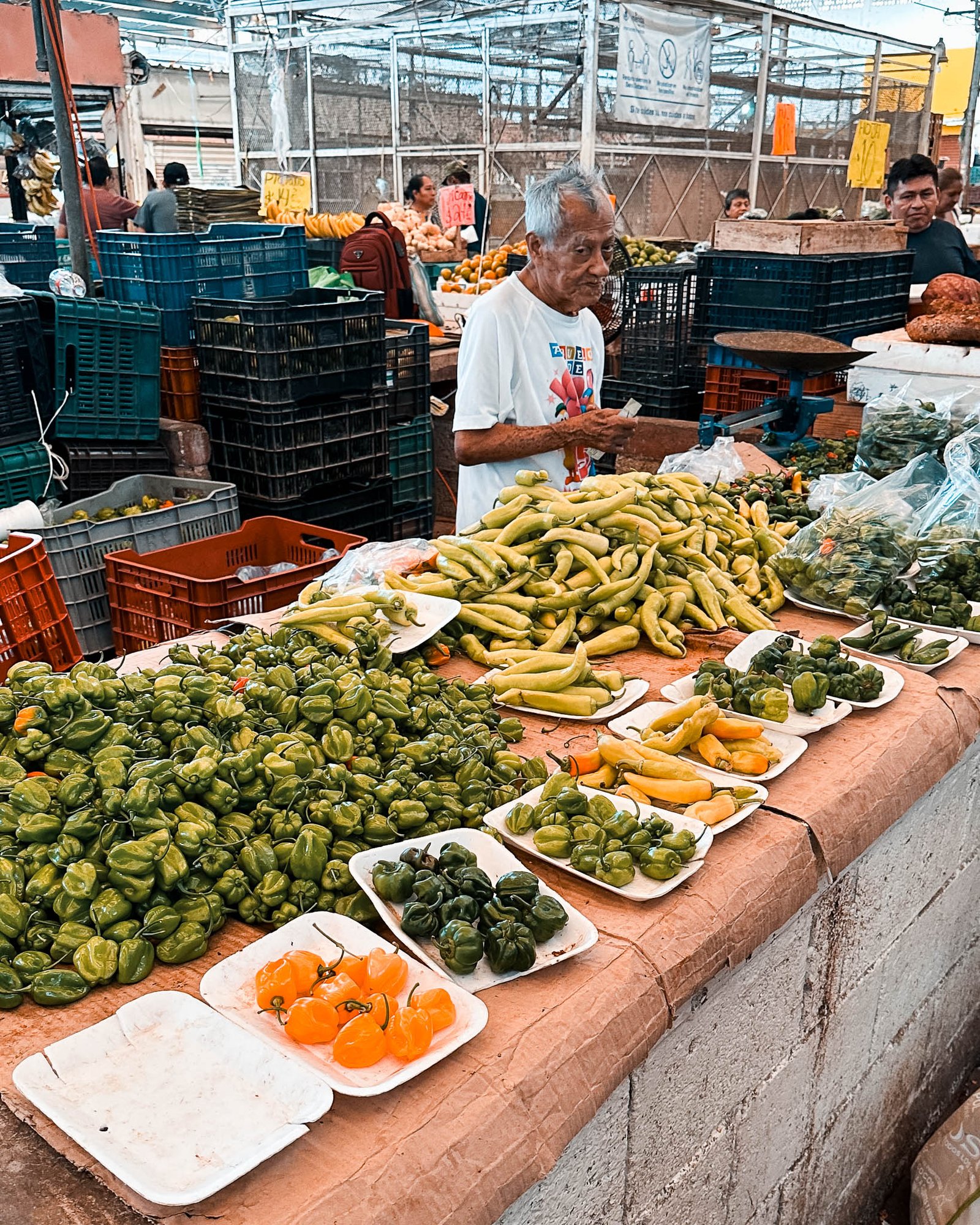 Jede erdenkliche Sorte von Chili und Jalapeno liegen auf einem Tisch am Markt dahinter steht ein alter Mann der skeptisch und die Kamera schaut