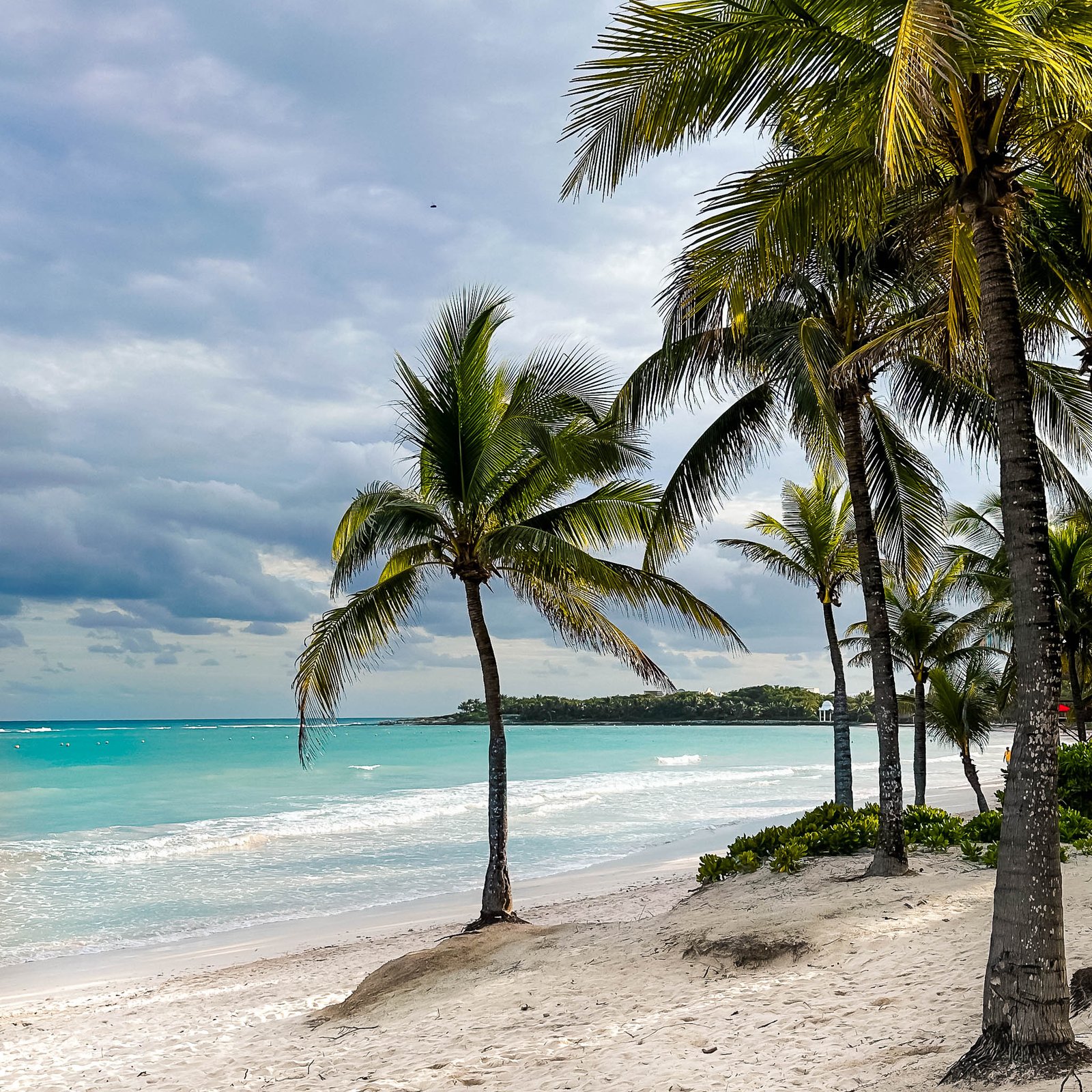 Weißer Sandstrand mit karibischen Palmen im TRS Yucatan Hotel