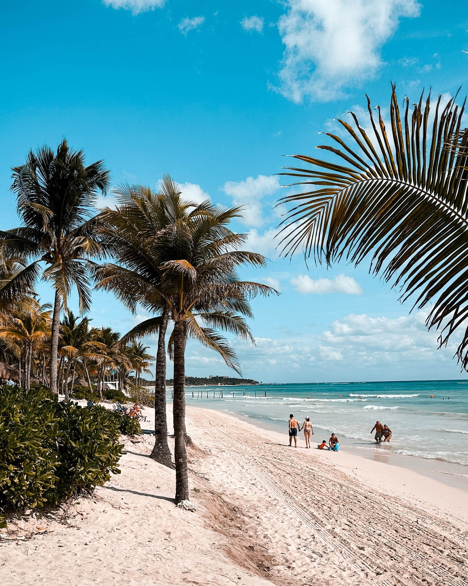 Palmensanddstrand mit hellblauem Himmel und Meer