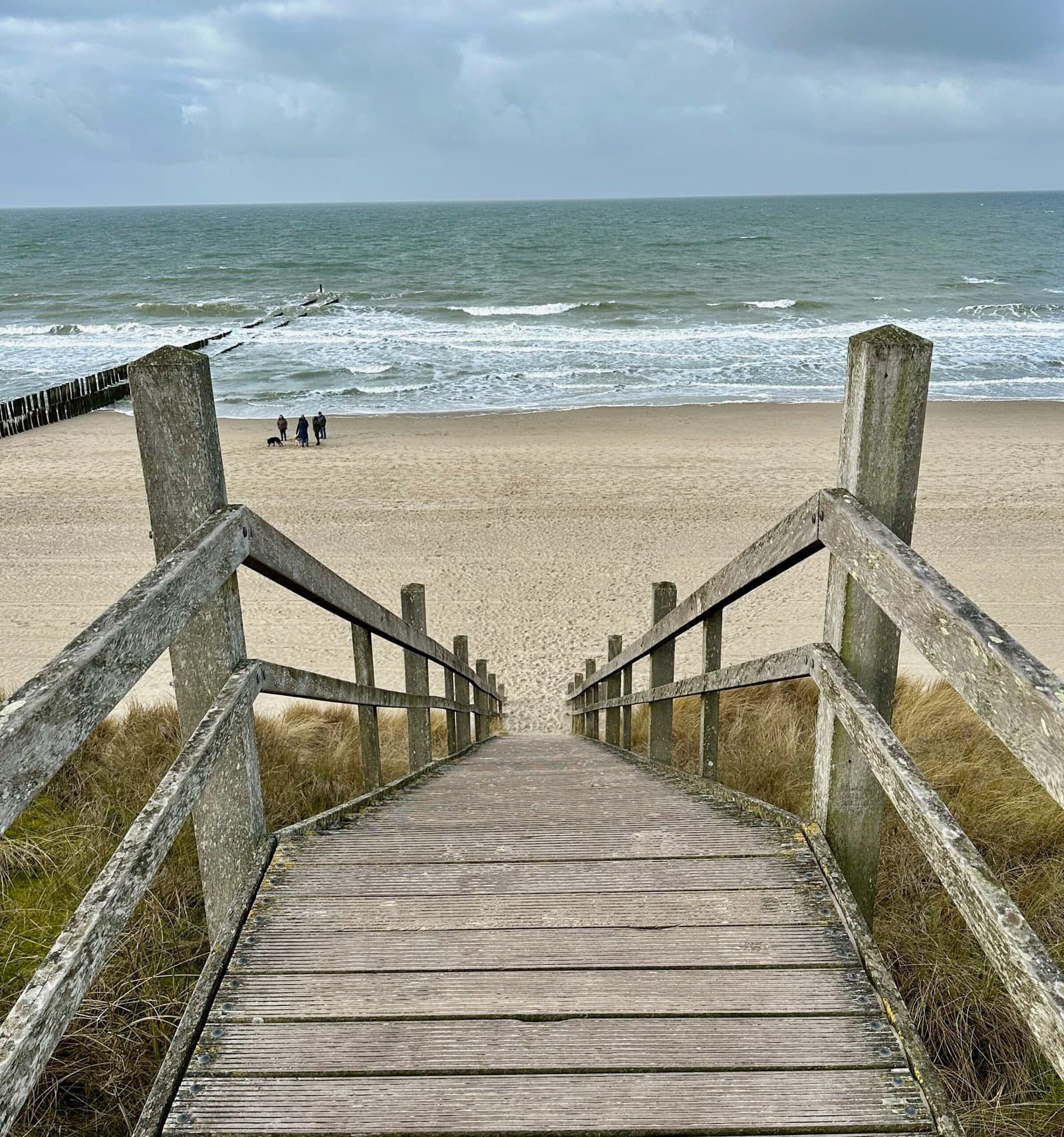 Blick vom Damm aufs Meer mit Holztreppe die zu Strände in Zeeland führt